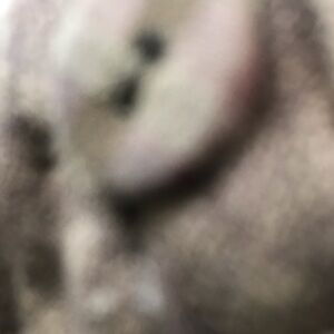 YOUNG THREADS NWT Dress Tunic Black Acid Wash Boho floral Pattern